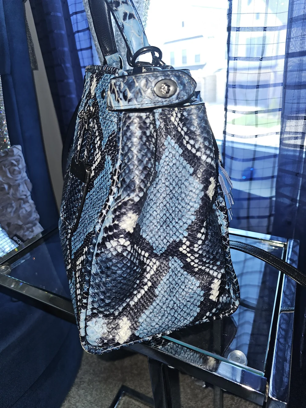 Coach Gramercy Authentic and RARE Blue Python Snakeskin Bag and Wallet